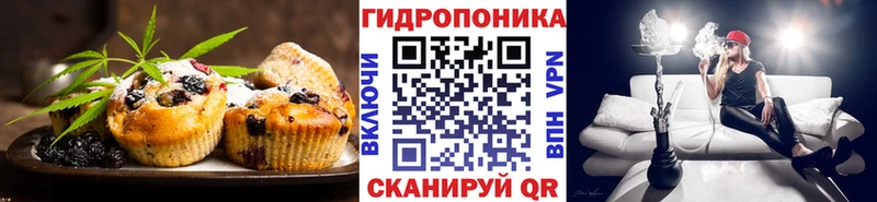 Cannafood конопля  Купить где  Георгиевск 