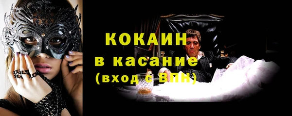 трава Белокуриха
