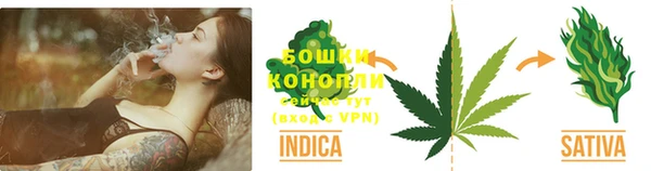 трава Белокуриха