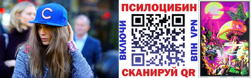 Псилоцибиновые грибы мухоморы  Купить закладки  Георгиевск 